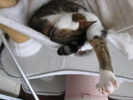 IMG05391.jpg