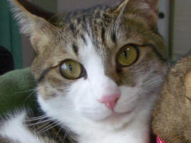IMGP11553.jpg
