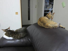 IMG05392.jpg