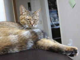 IMG05393.jpg