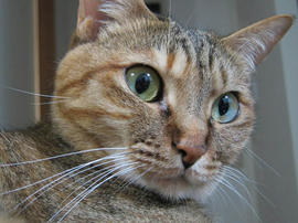 IMG05395.jpg