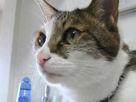 IMG05400.jpg