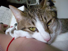 IMGP11583.jpg