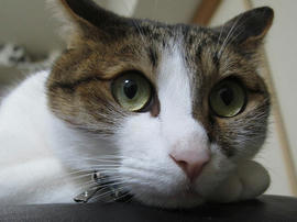 IMG05403.jpg