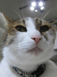 IMG05405.jpg