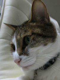 IMG05406.jpg