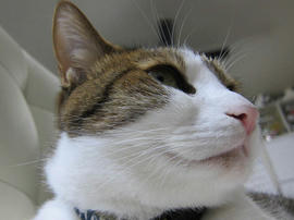IMG05407.jpg