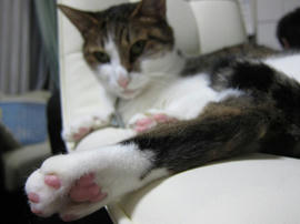 IMG05408.jpg