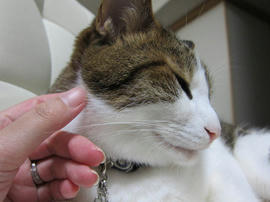 IMG05409.jpg