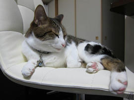 IMG05410.jpg