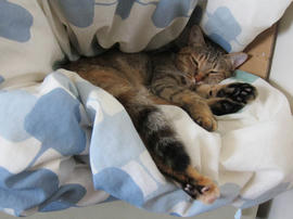IMG05413.jpg