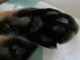 IMG05414.jpg