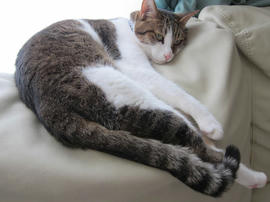 IMG05417.jpg