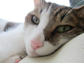 IMG05418.jpg