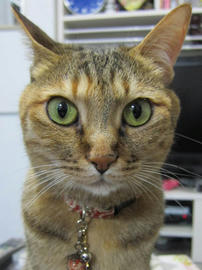 IMG05419.jpg