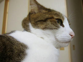 IMG05422.jpg