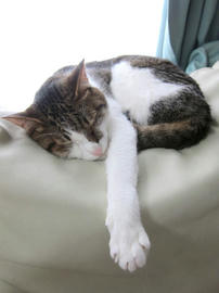IMG05423.jpg