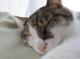 IMG05424.jpg