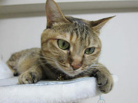 IMG05428.jpg