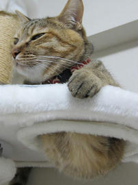 IMG05429.jpg
