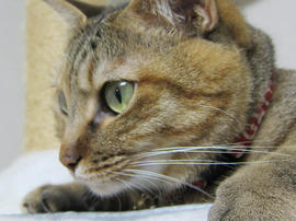 IMG05432.jpg