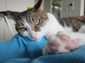 IMG05434.jpg