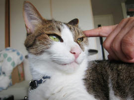 IMG05436.jpg