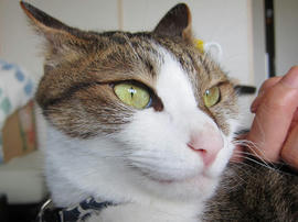 IMG05437.jpg