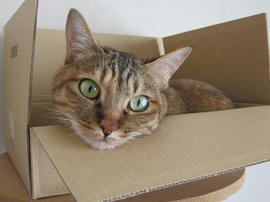 IMG05438.jpg