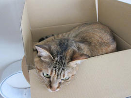 IMG05440.jpg