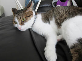 IMG05443.jpg