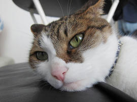 IMG05444.jpg