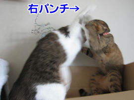 IMG05445.jpg