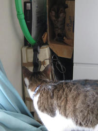 IMG05447.jpg