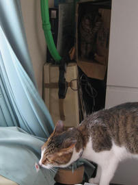 IMG05448.jpg