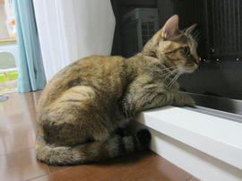 IMG05450.jpg