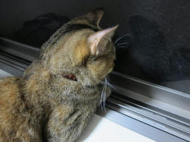 IMG05451.jpg