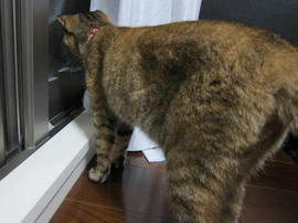 IMG05452.jpg