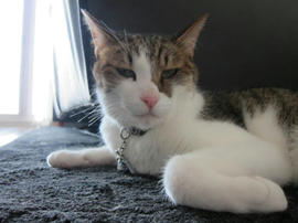 IMG05454.jpg