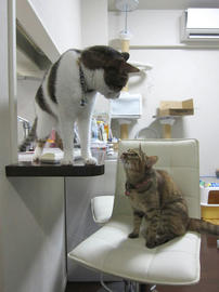 IMG05456.jpg