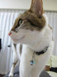 IMG05460.jpg