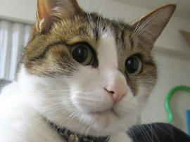 IMG05461.jpg