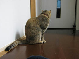 IMG05464.jpg