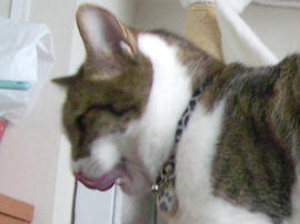 IMGP14183.jpg