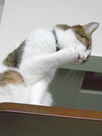 IMGP14198.jpg