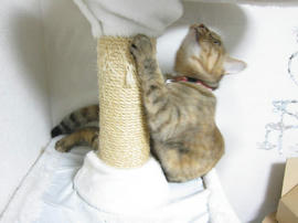 IMG05469.jpg