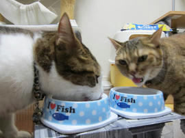 IMG05471.jpg