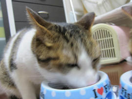 IMG05472.jpg