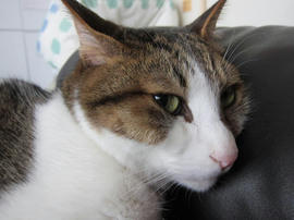IMG05475.jpg