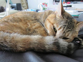 IMG05476.jpg